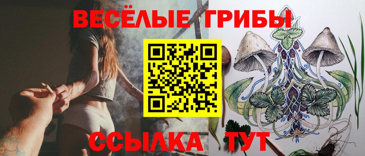 Псилоцибиновые грибы ЛСД  Псилоцибиновые грибы мухоморы  где найти наркотики  Волгодонск  Вход с VPN 